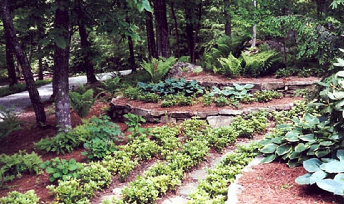 WNC landscapers
