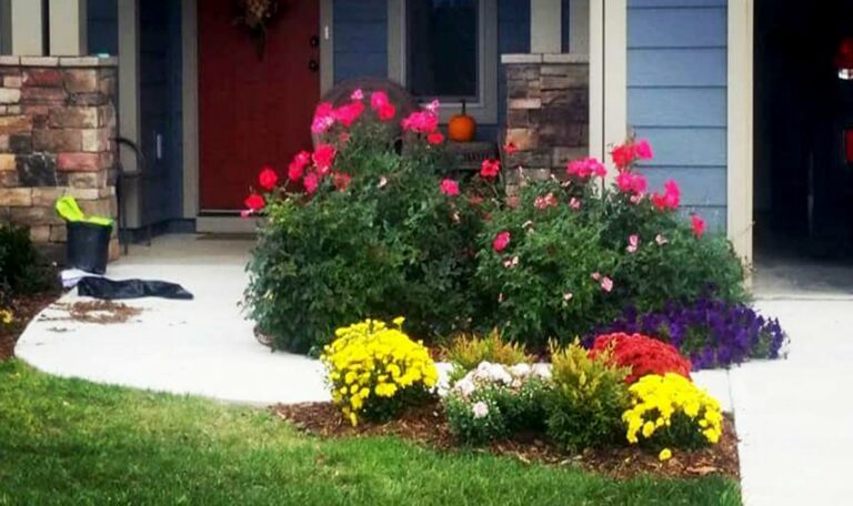 lawn care