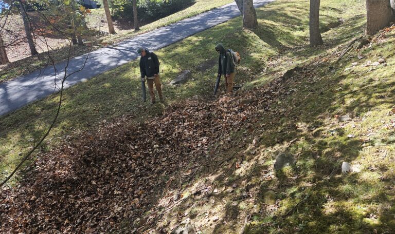 Charlie Sturgis - Leaf Removal Waynesville