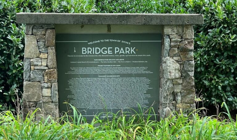 Bridge park photo