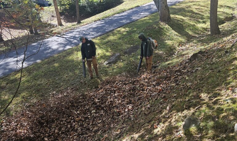 Charlie Sturgis - Leaf Removal rectangle