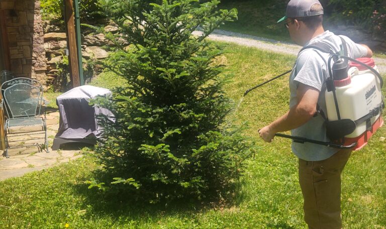 IMG_20230609_130750586_HDR