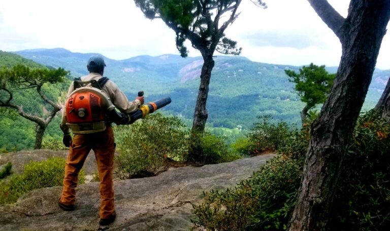 Leaf blowing rectangle