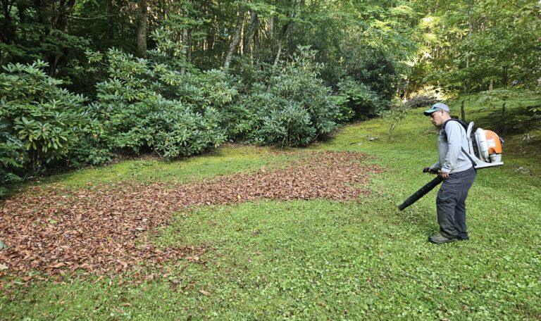 work Blowing leaves