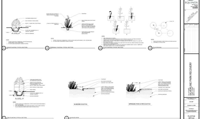 Shoreline Recovery Plantings