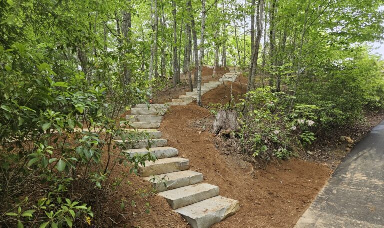 Tread steps best McMurry